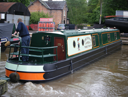 Narrowboat Painting- Toucan Do It